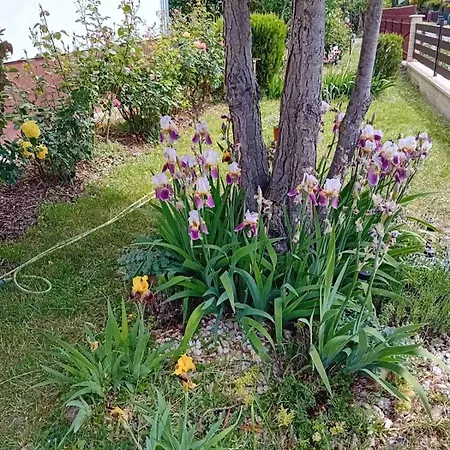 Holiday home Zamor Nyaralo